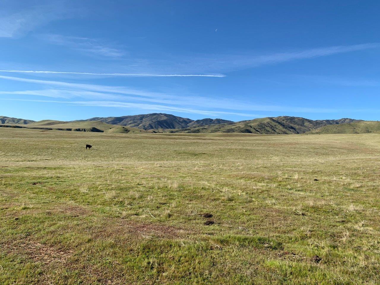 0 Little Panoche Road, LOS BANOS, California 93635, ,Lots And Land,For Sale,Little Panoche Road,40963415