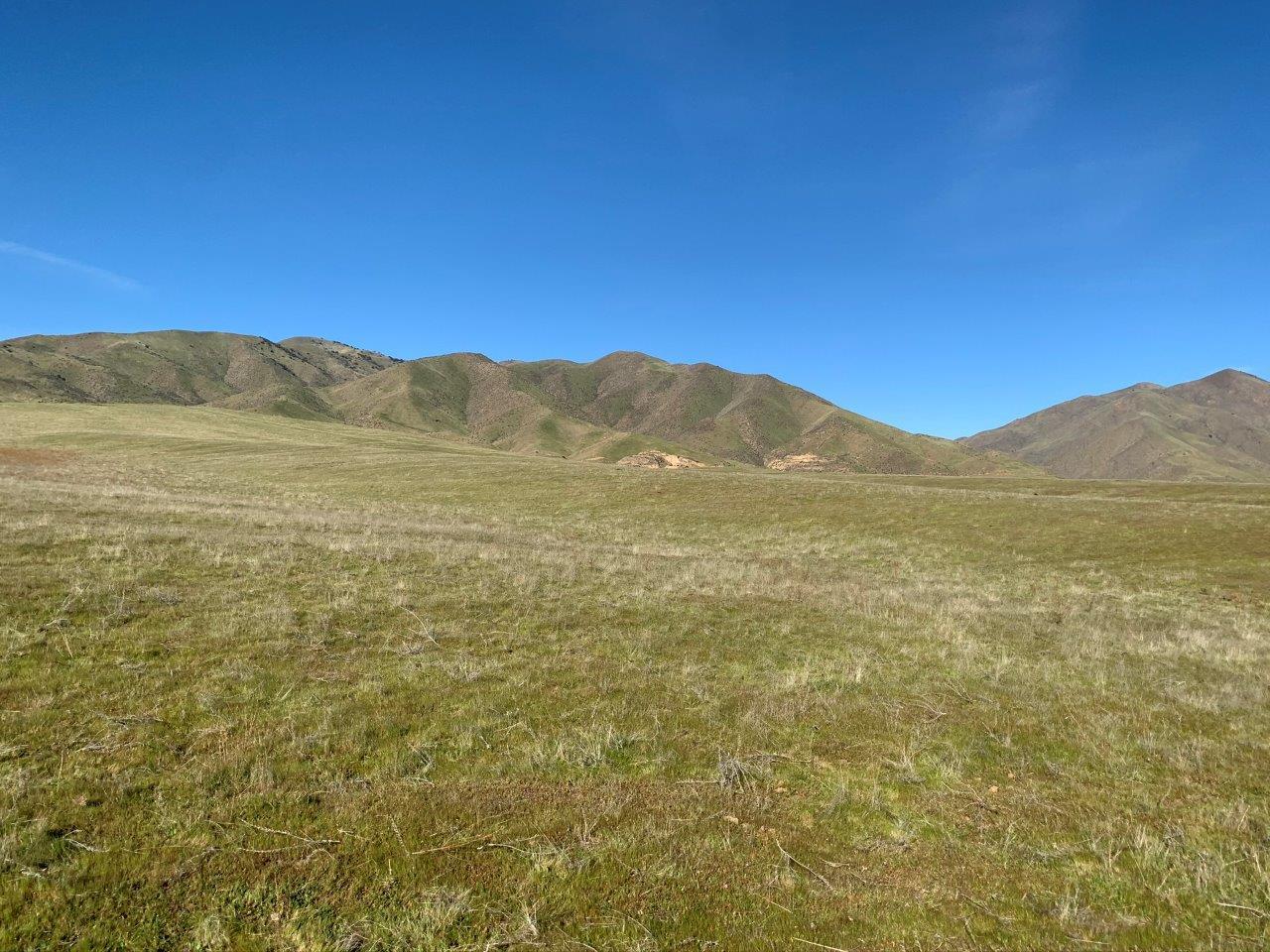 0 Little Panoche Road, LOS BANOS, California 93635, ,Lots And Land,For Sale,Little Panoche Road,40963415