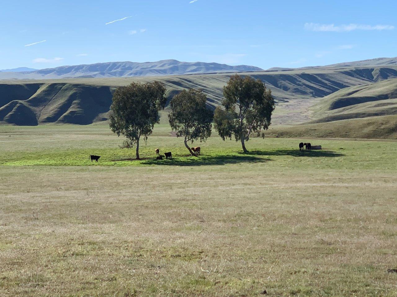 0 Little Panoche Road, LOS BANOS, California 93635, ,Lots And Land,For Sale,Little Panoche Road,40963415