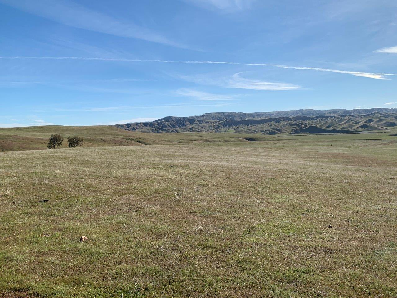 0 Little Panoche Road, LOS BANOS, California 93635, ,Lots And Land,For Sale,Little Panoche Road,40963415