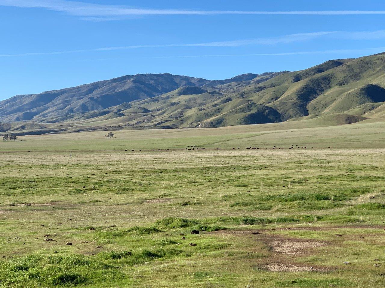 0 Little Panoche Road, LOS BANOS, California 93635, ,Lots And Land,For Sale,Little Panoche Road,40963415