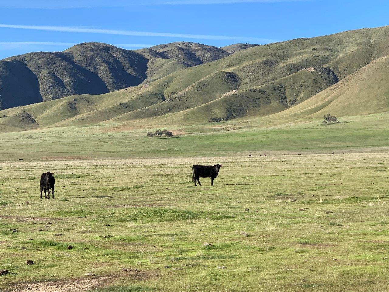 0 Little Panoche Road, LOS BANOS, California 93635, ,Lots And Land,For Sale,Little Panoche Road,40963415