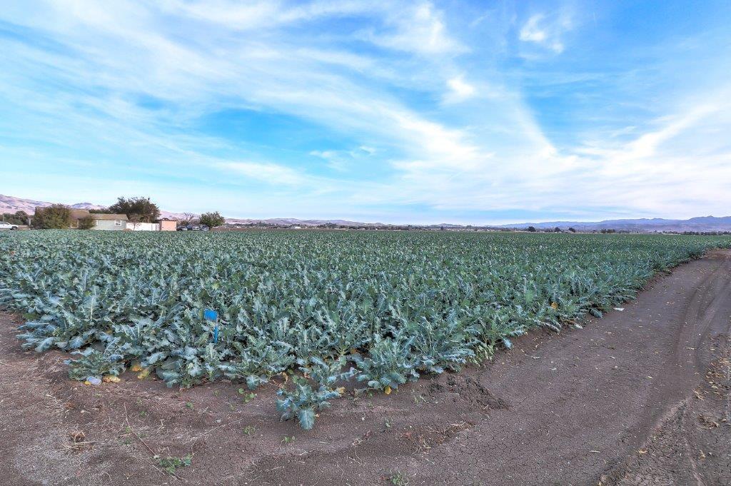 671 Mccloskey Road, HOLLISTER, California 95023, ,Lots And Land,For Sale,Mccloskey Road,40963417