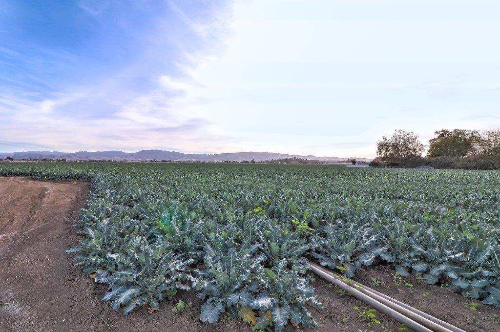 671 Mccloskey Road, HOLLISTER, California 95023, ,Lots And Land,For Sale,Mccloskey Road,40963417