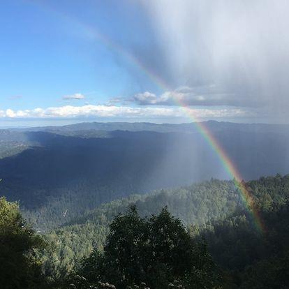 270 Braemoor Drive, SANTA CRUZ, California 95060, ,Lots And Land,For Sale,Braemoor Drive,40963419