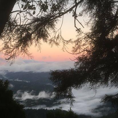 270 Braemoor Drive, SANTA CRUZ, California 95060, ,Lots And Land,For Sale,Braemoor Drive,40963419