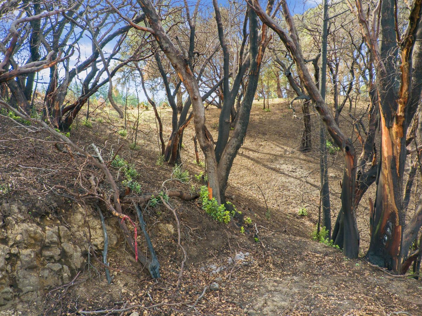 270 Braemoor Drive, SANTA CRUZ, California 95060, ,Lots And Land,For Sale,Braemoor Drive,40963419