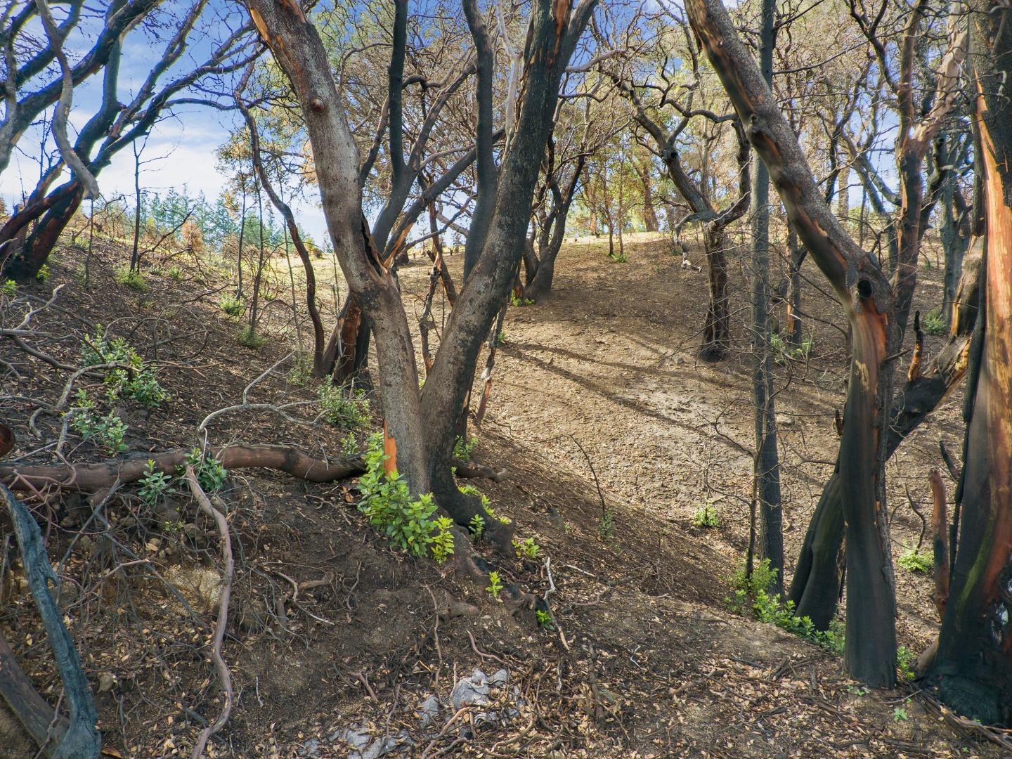 270 Braemoor Drive, SANTA CRUZ, California 95060, ,Lots And Land,For Sale,Braemoor Drive,40963419