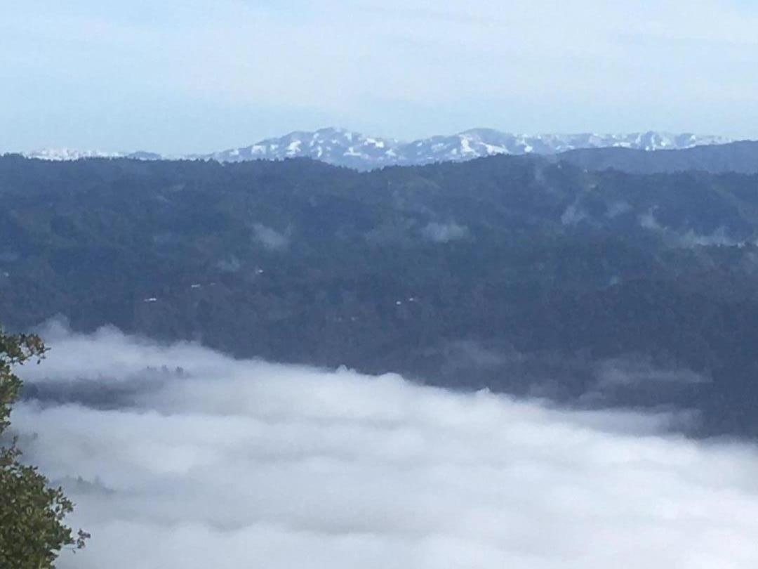 270 Braemoor Drive, SANTA CRUZ, California 95060, ,Lots And Land,For Sale,Braemoor Drive,40963419