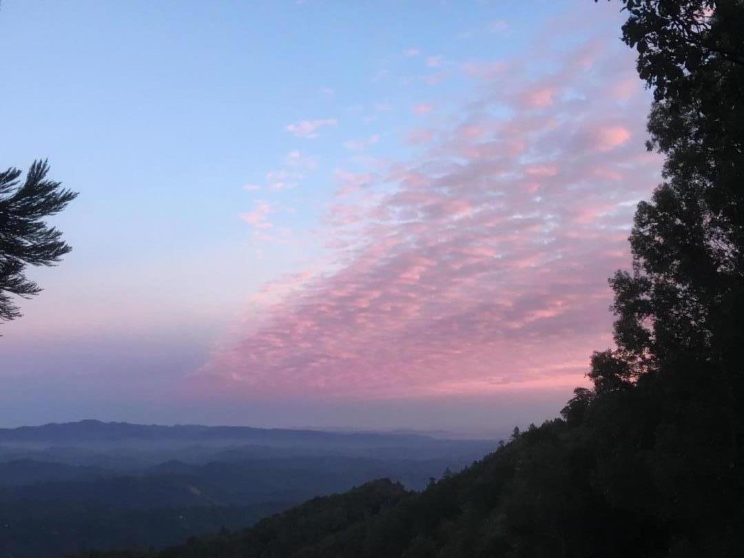 270 Braemoor Drive, SANTA CRUZ, California 95060, ,Lots And Land,For Sale,Braemoor Drive,40963419