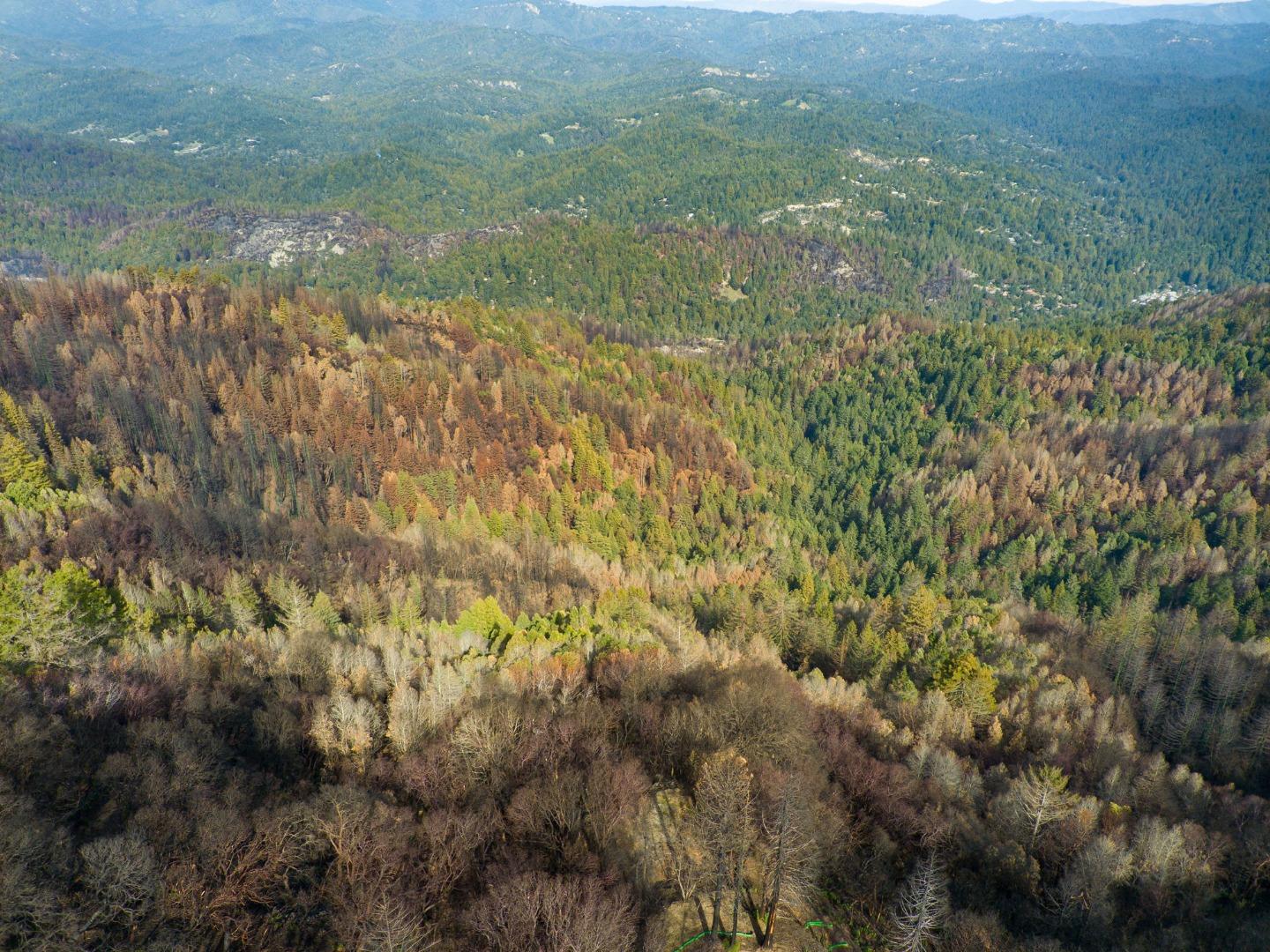 270 Braemoor Drive, SANTA CRUZ, California 95060, ,Lots And Land,For Sale,Braemoor Drive,40963419