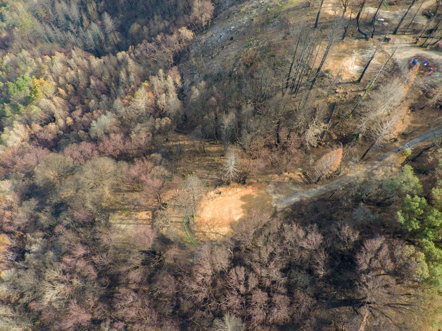 270 Braemoor Drive, SANTA CRUZ, California 95060, ,Lots And Land,For Sale,Braemoor Drive,40963419