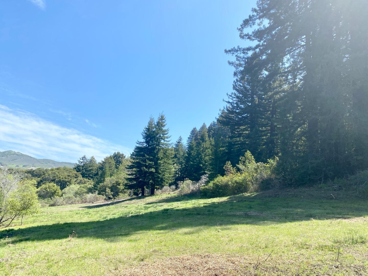 15 Potrero Trail, CARMEL, California 93923, ,Lots And Land,For Sale,Potrero Trail,40965681