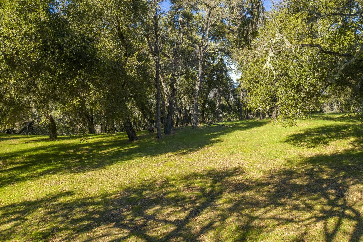 9 Long Ridge Trail, CARMEL, California 93923, ,Lots And Land,For Sale,Long Ridge Trail,40963478