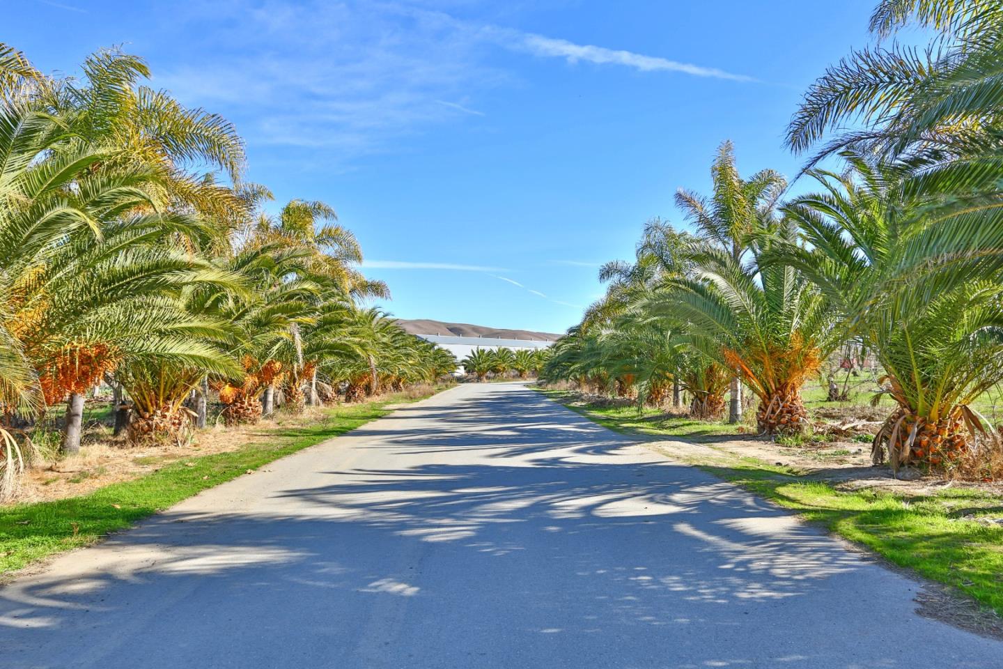 8245 Lovers Lane, HOLLISTER, California 95023, ,Lots And Land,For Sale,Lovers Lane,40963479