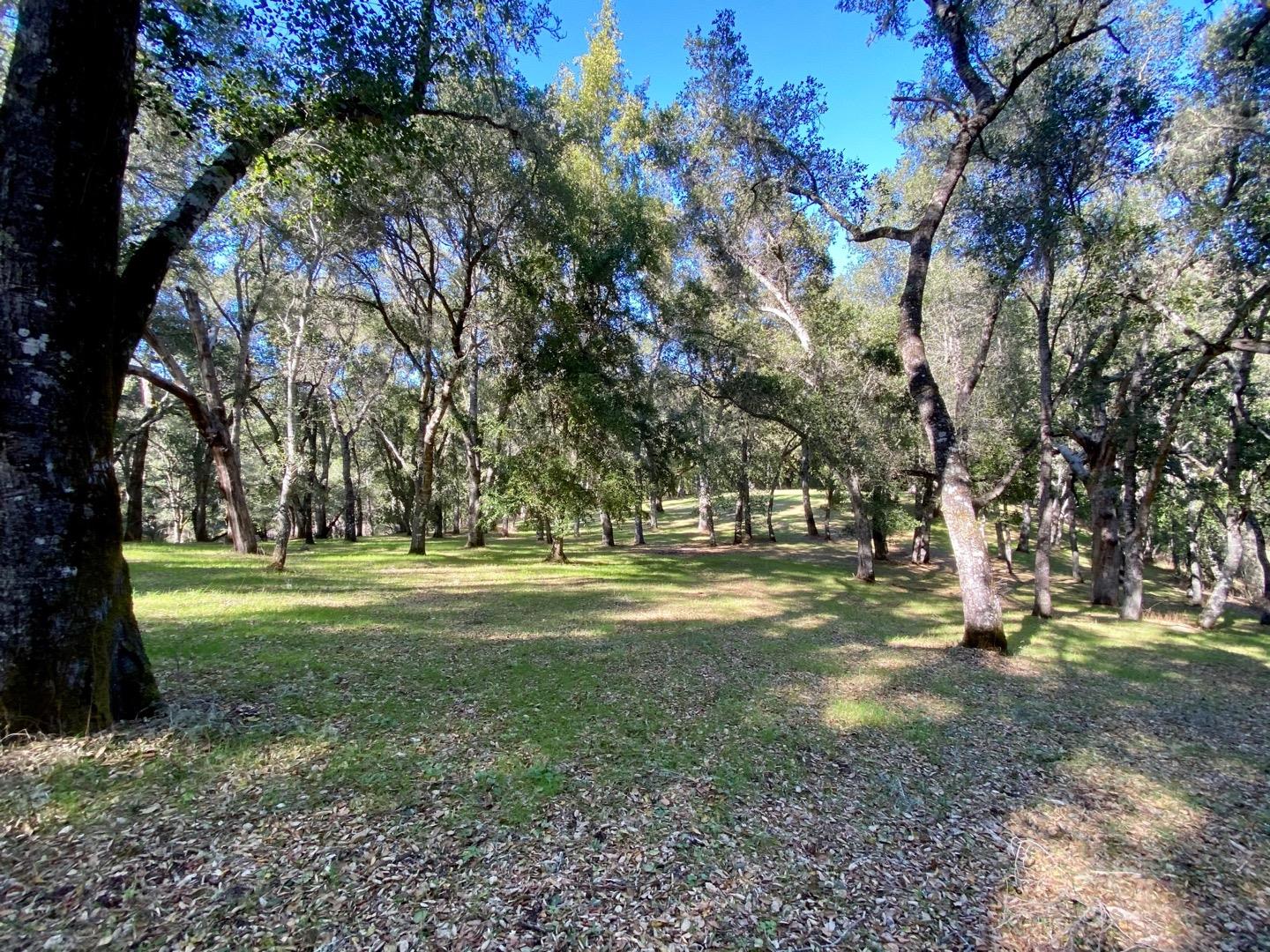 27 San Clemente Trail, CARMEL, California 93923, ,Lots And Land,For Sale,San Clemente Trail,40963519
