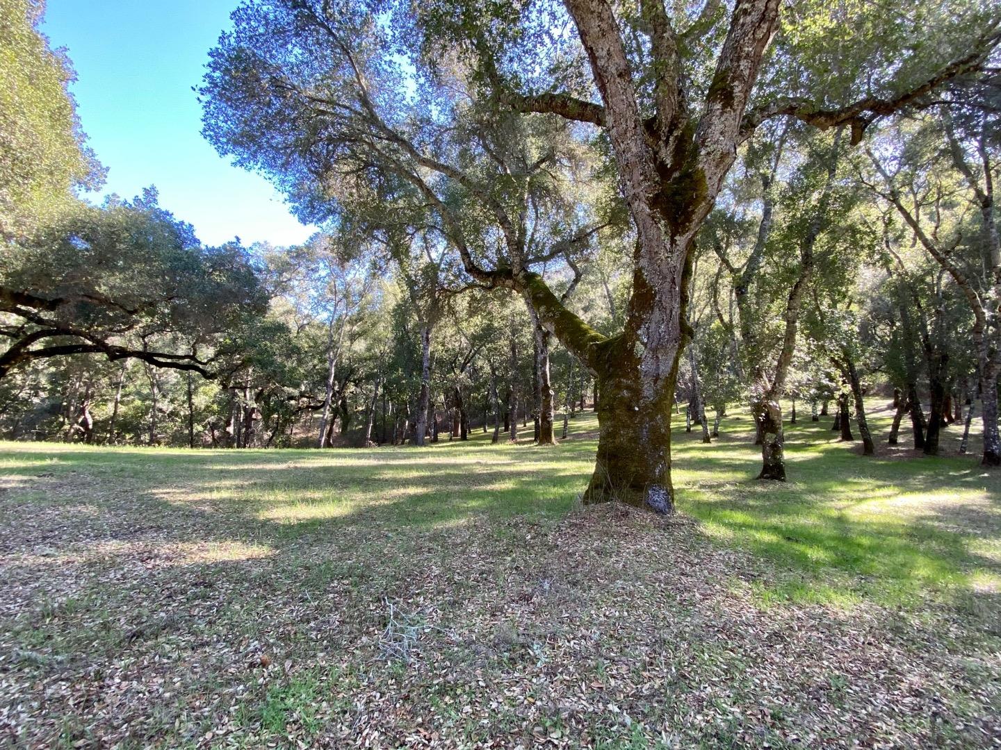 27 San Clemente Trail, CARMEL, California 93923, ,Lots And Land,For Sale,San Clemente Trail,40963519