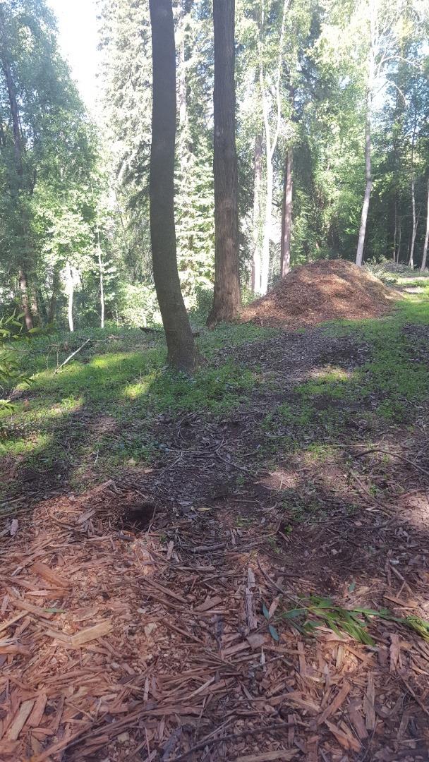 9600 rear Highway 9, BEN LOMOND, California 95005, ,Lots And Land,For Sale,Highway 9,40963531