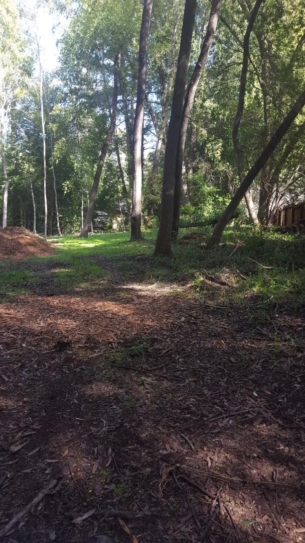 9600 rear Highway 9, BEN LOMOND, California 95005, ,Lots And Land,For Sale,Highway 9,40963531