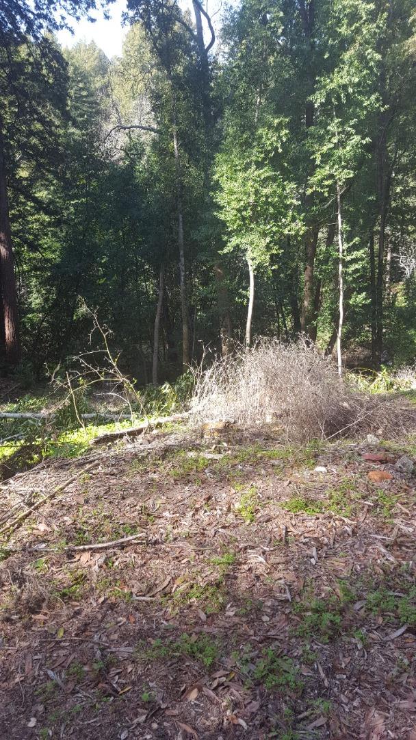 9600 rear Highway 9, BEN LOMOND, California 95005, ,Lots And Land,For Sale,Highway 9,40963531