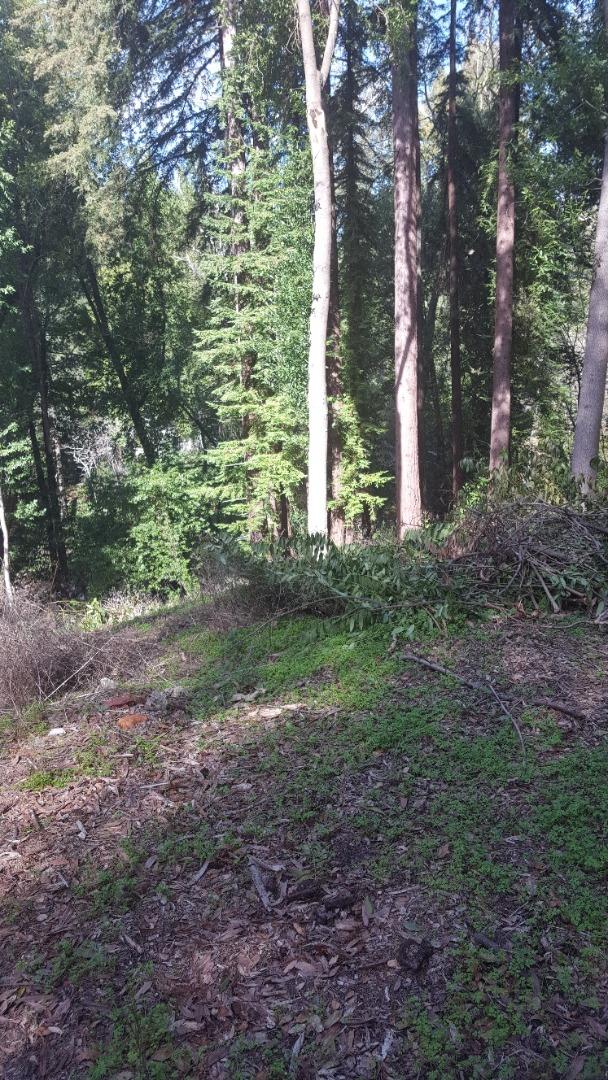 9600 rear Highway 9, BEN LOMOND, California 95005, ,Lots And Land,For Sale,Highway 9,40963531