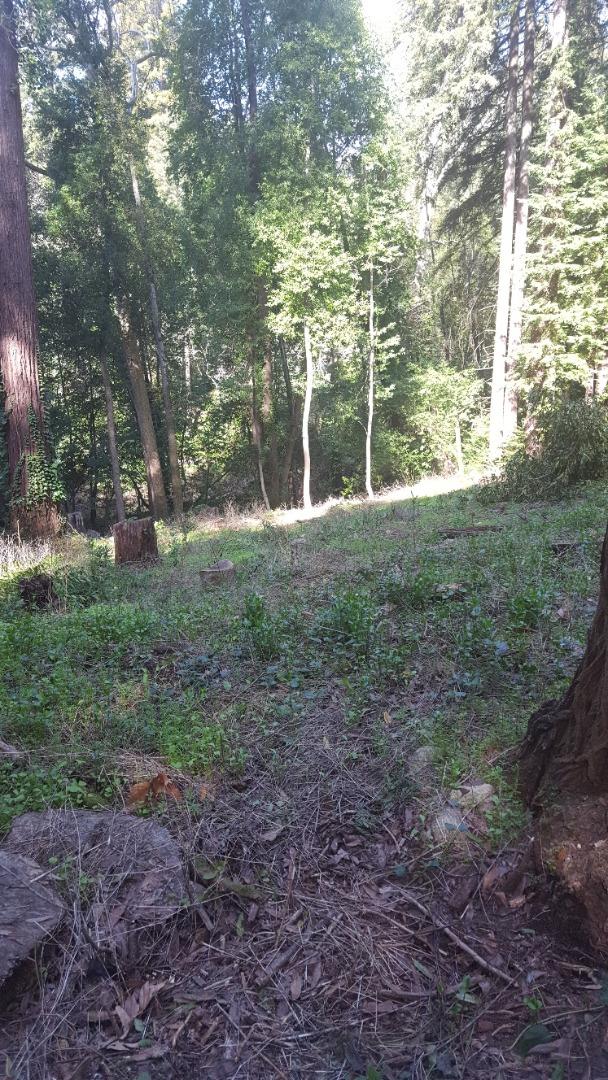 9600 rear Highway 9, BEN LOMOND, California 95005, ,Lots And Land,For Sale,Highway 9,40963531