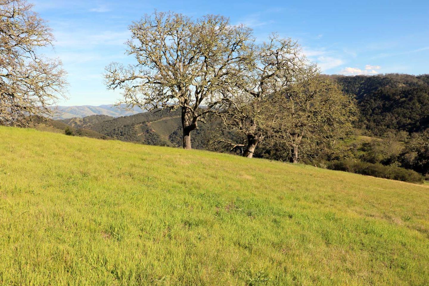 5 Black Mountain Trail, CARMEL, California 93923, ,Lots And Land,For Sale,Black Mountain Trail,40963547
