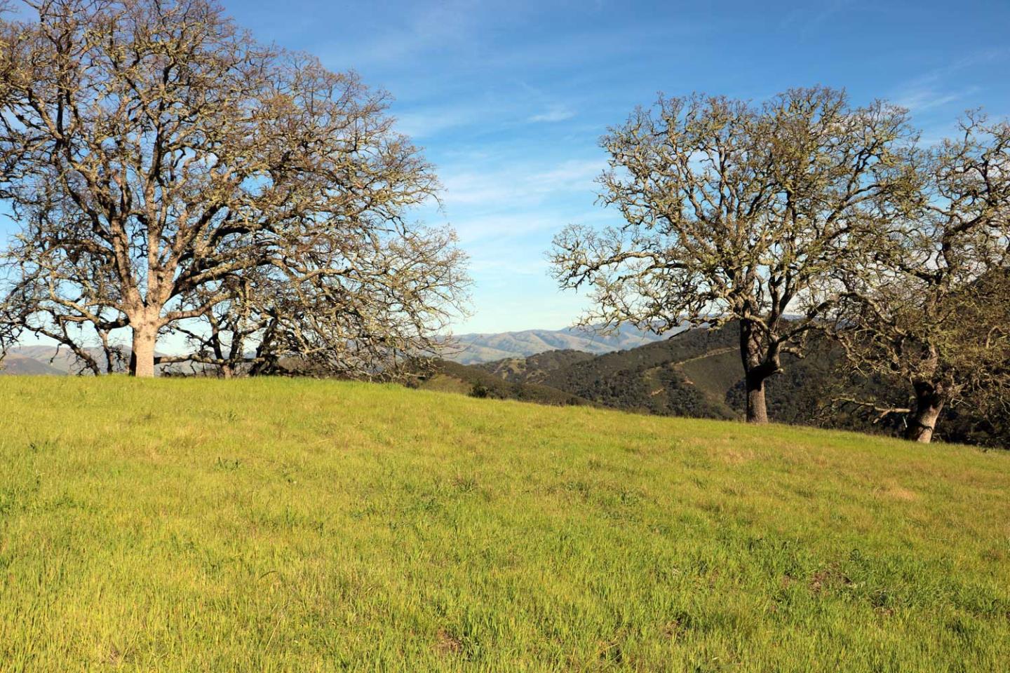 5 Black Mountain Trail, CARMEL, California 93923, ,Lots And Land,For Sale,Black Mountain Trail,40963547
