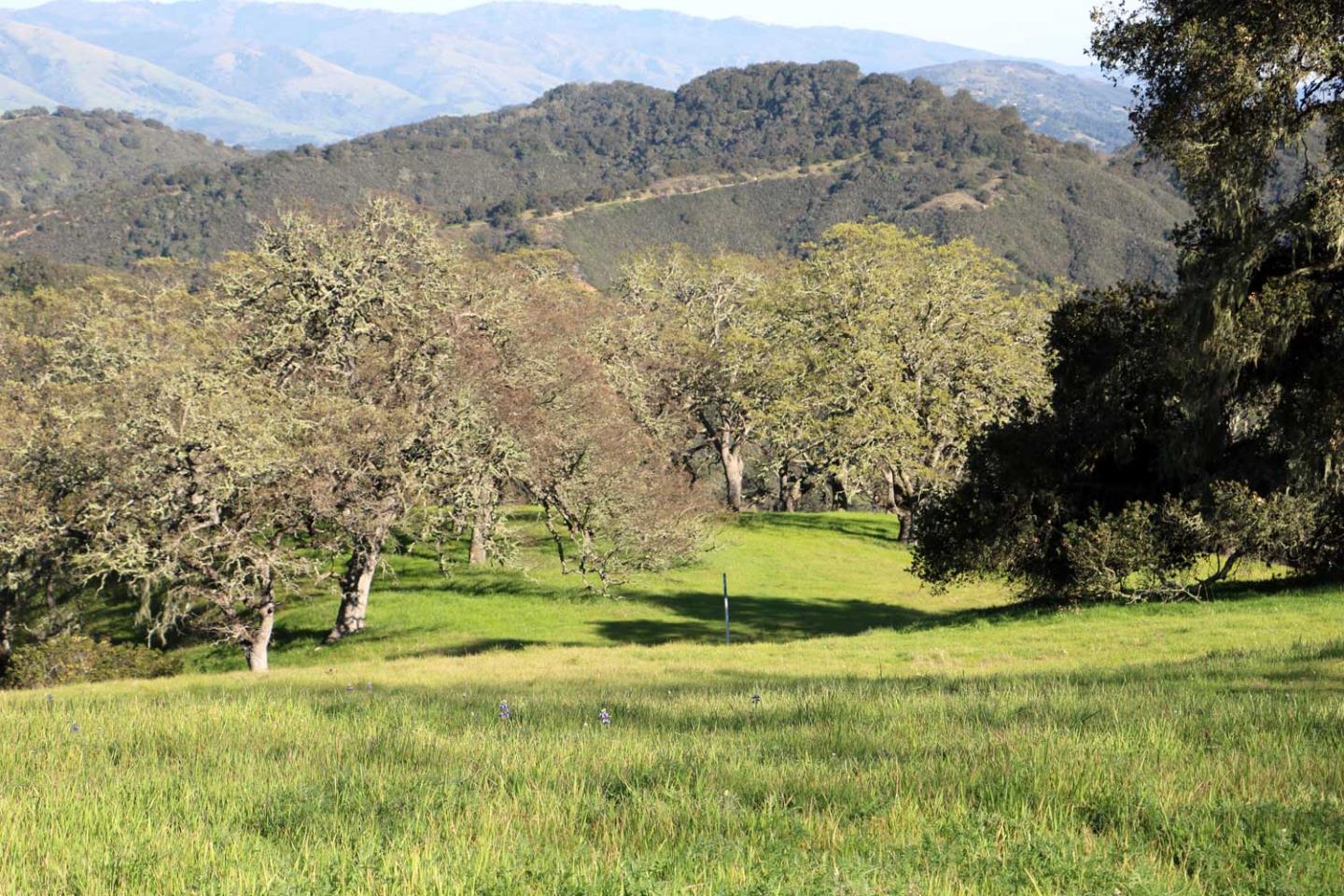 5 Black Mountain Trail, CARMEL, California 93923, ,Lots And Land,For Sale,Black Mountain Trail,40963547