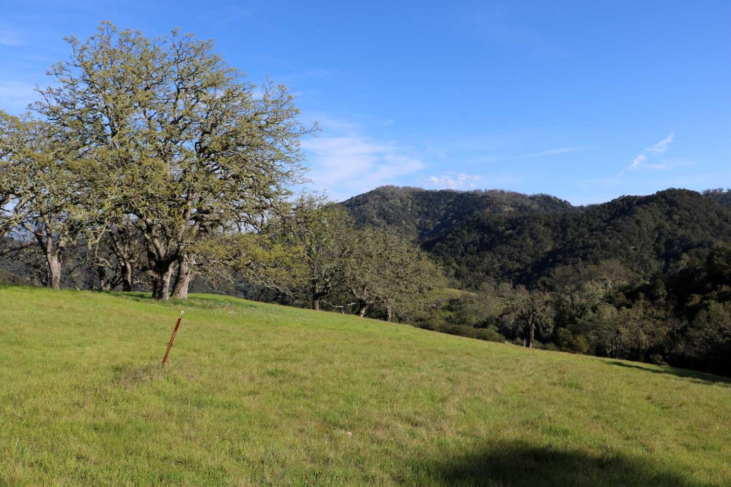 5 Black Mountain Trail, CARMEL, California 93923, ,Lots And Land,For Sale,Black Mountain Trail,40963547