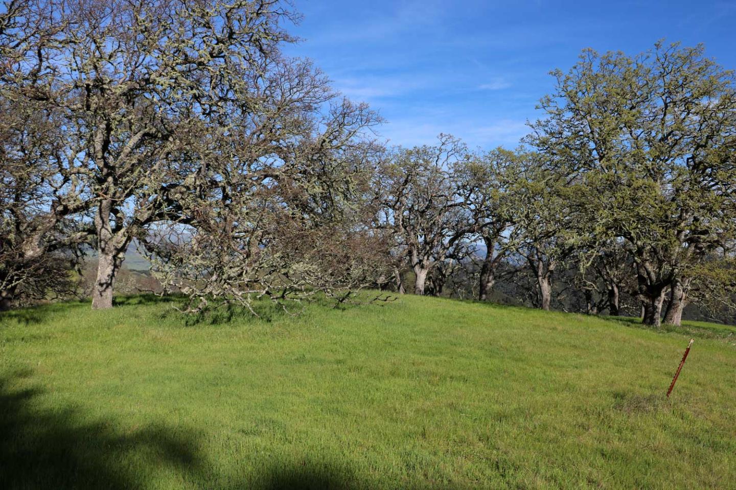 5 Black Mountain Trail, CARMEL, California 93923, ,Lots And Land,For Sale,Black Mountain Trail,40963547