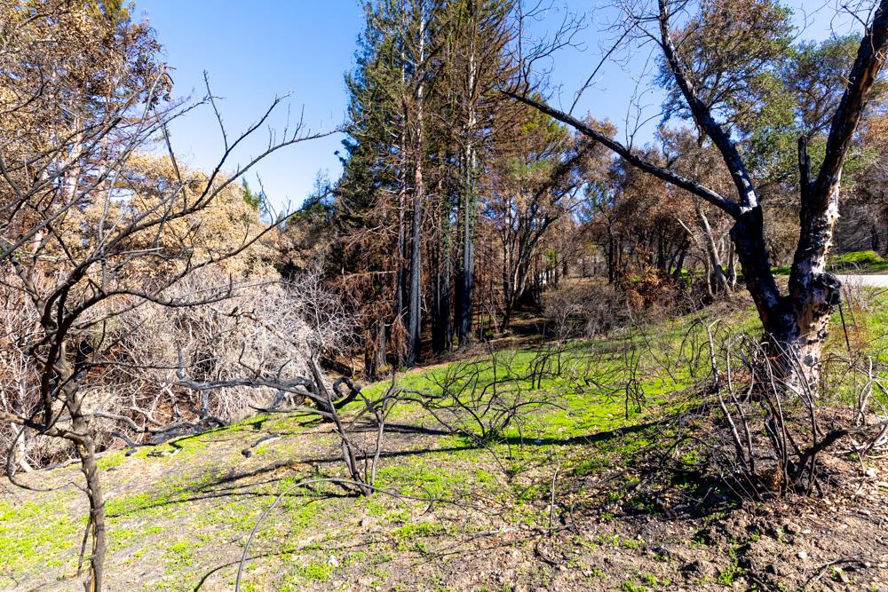 405 Hill House Road, BOULDER CREEK, California 95006, ,Lots And Land,For Sale,Hill House Road,40963548