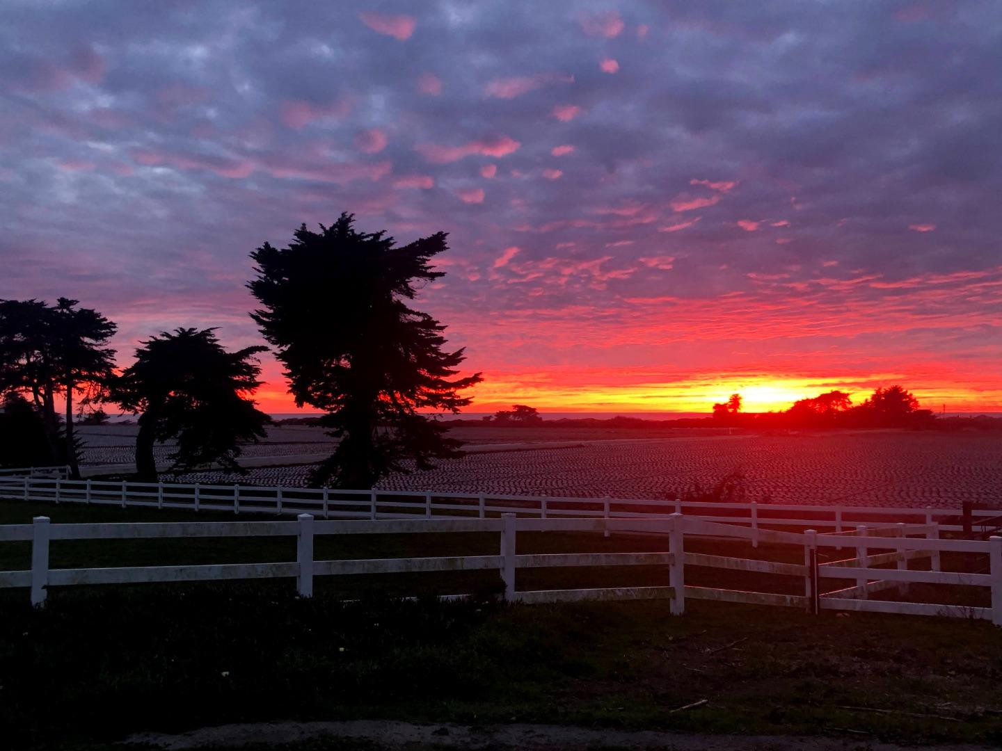 264 Giberson Road, MOSS LANDING, California 95039, ,Lots And Land,For Sale,Giberson Road,40963557