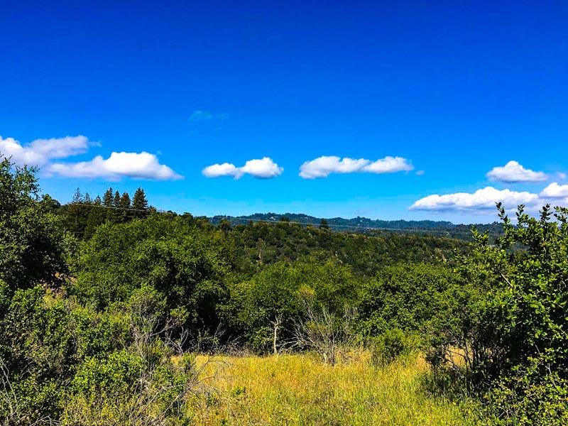 Lot 37 Hopkins Gulch, BOULDER CREEK, California 95006, ,Lots And Land,For Sale,Hopkins Gulch,40963578