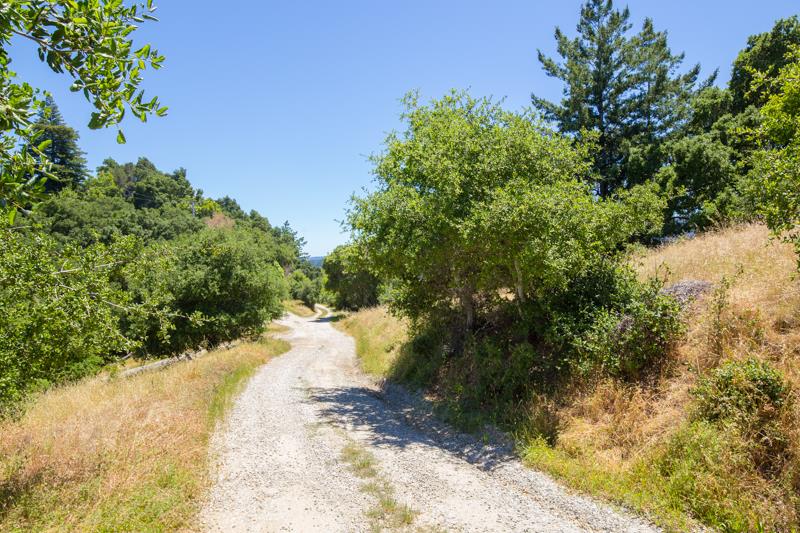 Lot 37 Hopkins Gulch, BOULDER CREEK, California 95006, ,Lots And Land,For Sale,Hopkins Gulch,40963578