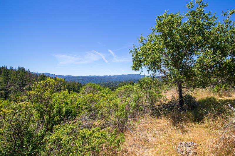 Lot 37 Hopkins Gulch, BOULDER CREEK, California 95006, ,Lots And Land,For Sale,Hopkins Gulch,40963578