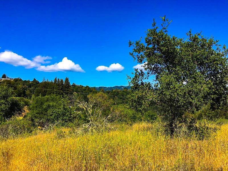 Lot 37 Hopkins Gulch, BOULDER CREEK, California 95006, ,Lots And Land,For Sale,Hopkins Gulch,40963578