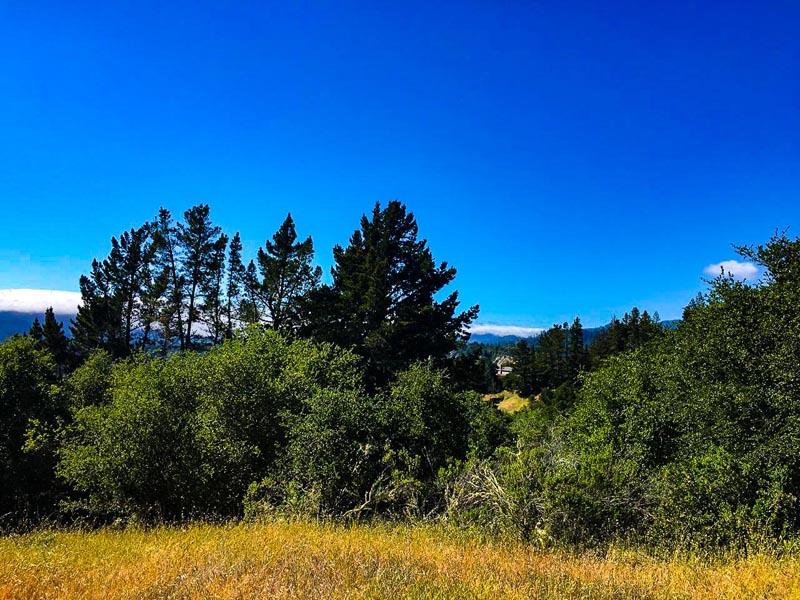 Lot 37 Hopkins Gulch, BOULDER CREEK, California 95006, ,Lots And Land,For Sale,Hopkins Gulch,40963578
