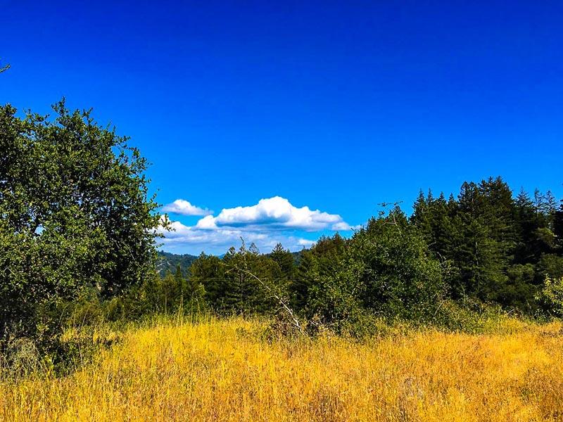 Lot 37 Hopkins Gulch, BOULDER CREEK, California 95006, ,Lots And Land,For Sale,Hopkins Gulch,40963578