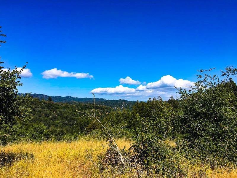 Lot 37 Hopkins Gulch, BOULDER CREEK, California 95006, ,Lots And Land,For Sale,Hopkins Gulch,40963578