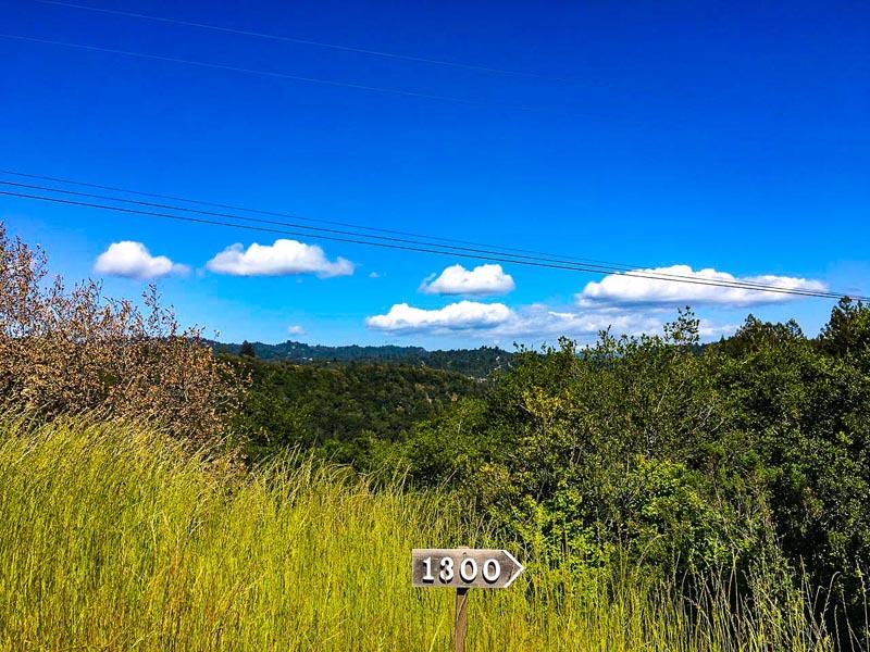 Lot 37 Hopkins Gulch, BOULDER CREEK, California 95006, ,Lots And Land,For Sale,Hopkins Gulch,40963578