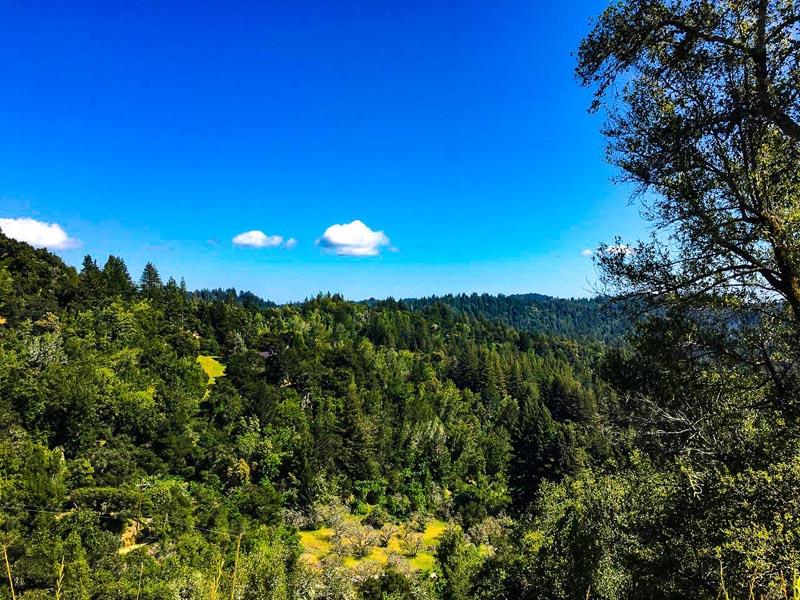 Lot 37 Hopkins Gulch, BOULDER CREEK, California 95006, ,Lots And Land,For Sale,Hopkins Gulch,40963578