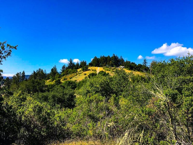 Lot 37 Hopkins Gulch, BOULDER CREEK, California 95006, ,Lots And Land,For Sale,Hopkins Gulch,40963578