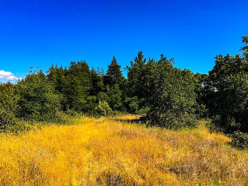 Lot 37 Hopkins Gulch, BOULDER CREEK, California 95006, ,Lots And Land,For Sale,Hopkins Gulch,40963578