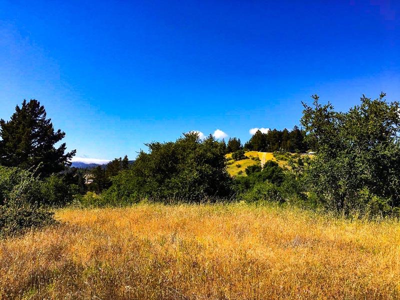 Lot 37 Hopkins Gulch, BOULDER CREEK, California 95006, ,Lots And Land,For Sale,Hopkins Gulch,40963578