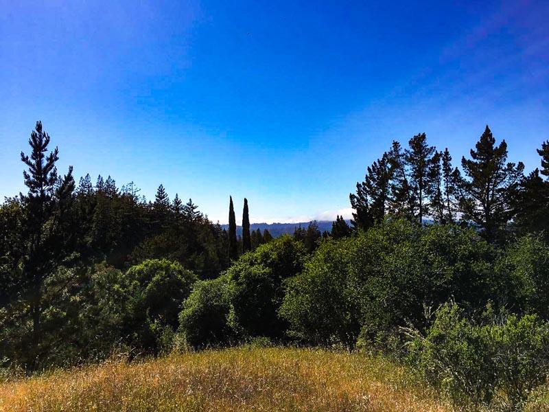 Lot 37 Hopkins Gulch, BOULDER CREEK, California 95006, ,Lots And Land,For Sale,Hopkins Gulch,40963578