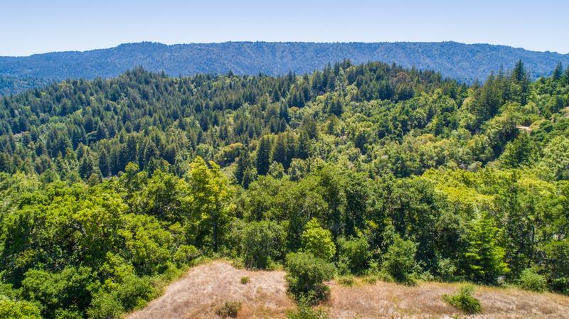Lot 37 Hopkins Gulch, BOULDER CREEK, California 95006, ,Lots And Land,For Sale,Hopkins Gulch,40963578
