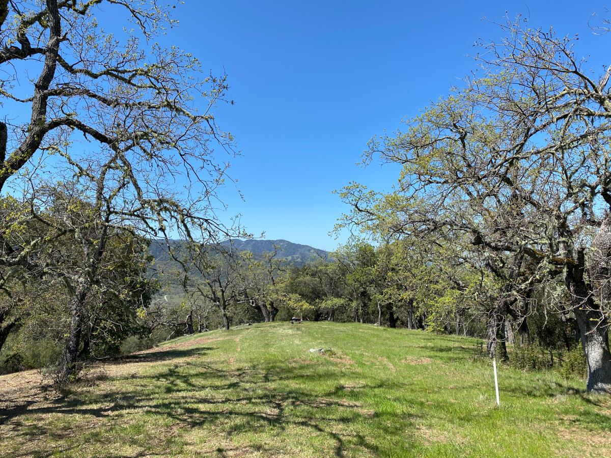 5 Long Ridge Trail, CARMEL, California 93923, ,Lots And Land,For Sale,Long Ridge Trail,40963579