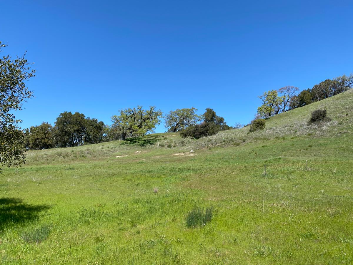 5 Long Ridge Trail, CARMEL, California 93923, ,Lots And Land,For Sale,Long Ridge Trail,40963579