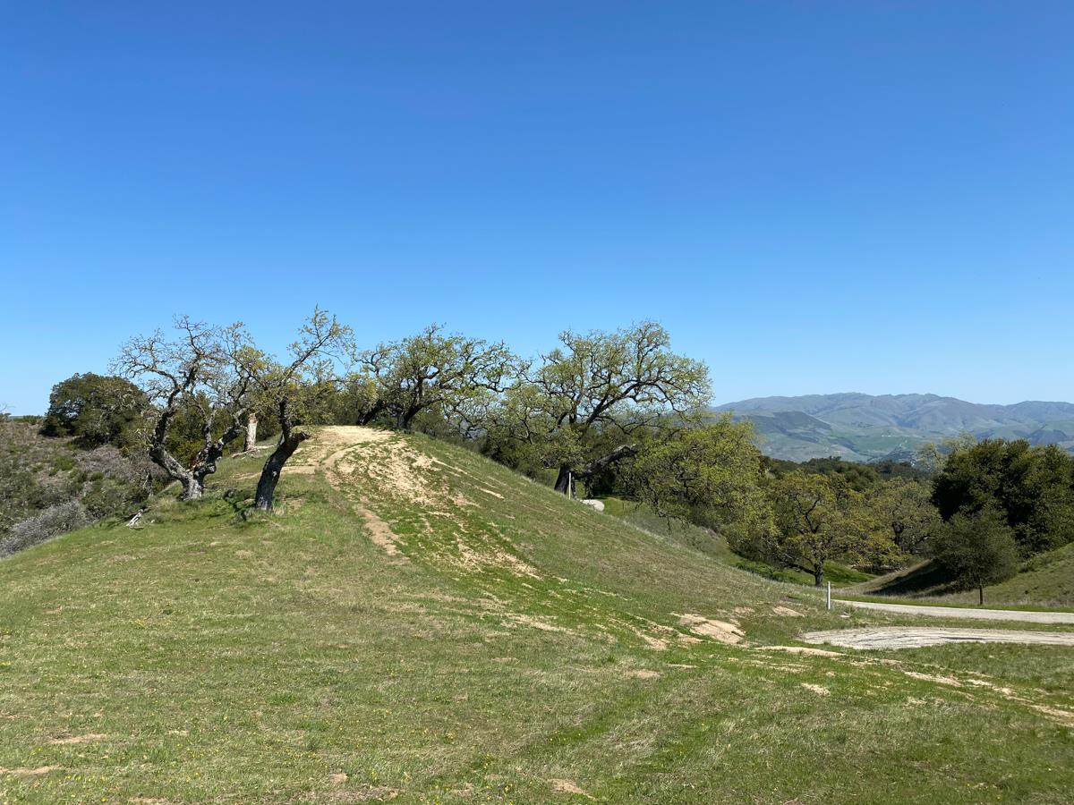 5 Long Ridge Trail, CARMEL, California 93923, ,Lots And Land,For Sale,Long Ridge Trail,40963579